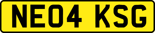 NE04KSG