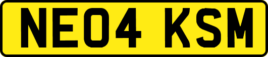NE04KSM