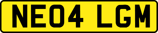 NE04LGM