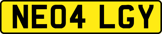 NE04LGY