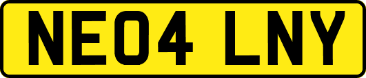 NE04LNY