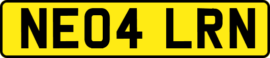 NE04LRN