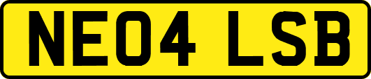 NE04LSB