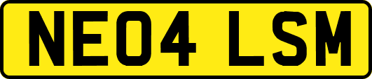 NE04LSM