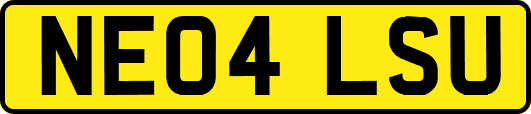 NE04LSU