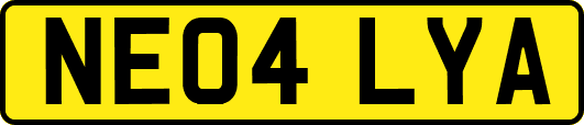 NE04LYA