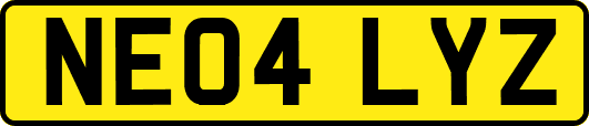NE04LYZ