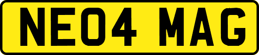 NE04MAG