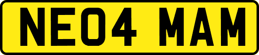 NE04MAM