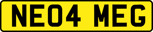 NE04MEG