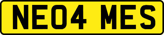 NE04MES