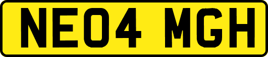 NE04MGH