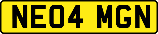 NE04MGN