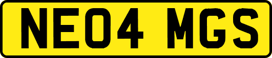 NE04MGS
