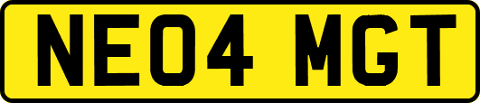 NE04MGT
