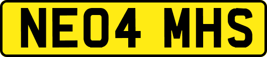 NE04MHS