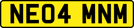NE04MNM