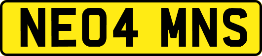 NE04MNS