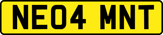NE04MNT