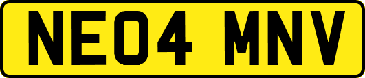 NE04MNV