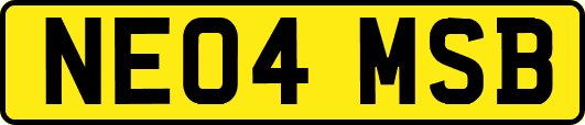NE04MSB