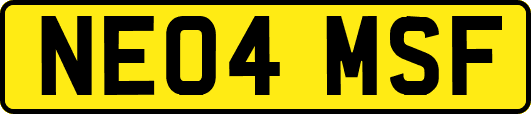 NE04MSF