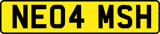 NE04MSH