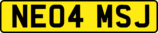 NE04MSJ