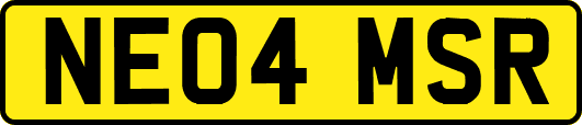 NE04MSR