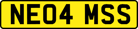 NE04MSS