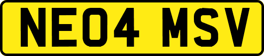 NE04MSV