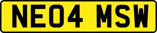 NE04MSW