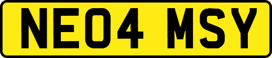 NE04MSY