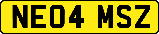 NE04MSZ