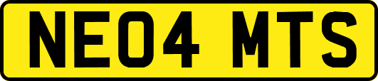 NE04MTS