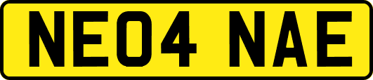 NE04NAE