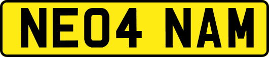 NE04NAM