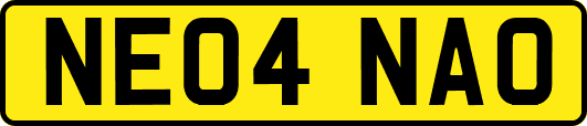 NE04NAO