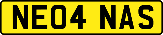 NE04NAS