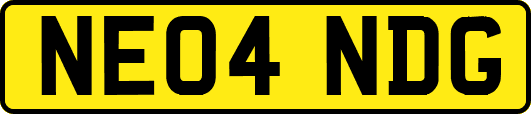NE04NDG