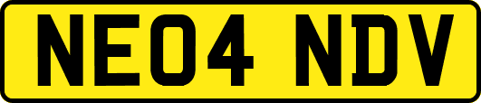 NE04NDV