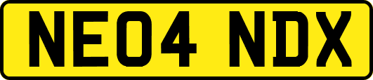 NE04NDX