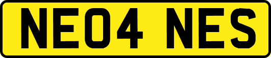 NE04NES