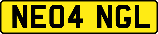 NE04NGL