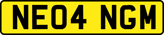 NE04NGM