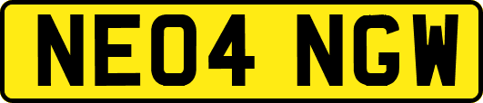 NE04NGW