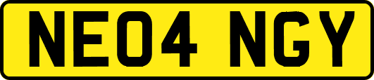 NE04NGY