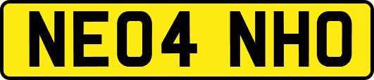 NE04NHO
