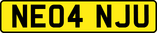 NE04NJU