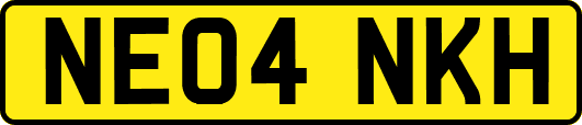 NE04NKH
